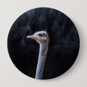 ostrich portrait   10 cm round badge