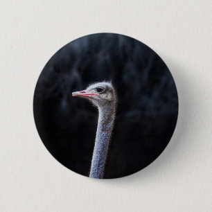 ostrich portrait 6 cm round badge