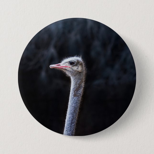 ostrich portrait   7.5 cm round badge (Front)