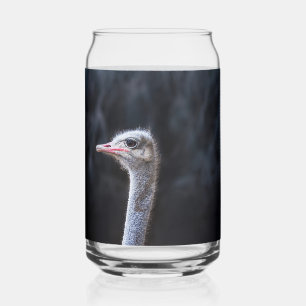 ostrich portrait  can glass