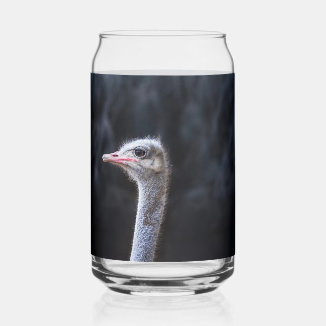 ostrich portrait  can glass (Front)