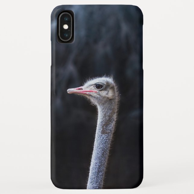 ostrich portrait     Case-Mate iPhone case (Back)