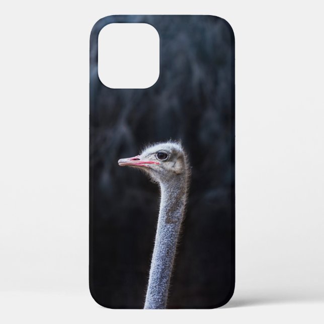 ostrich portrait     Case-Mate iPhone case (Back)