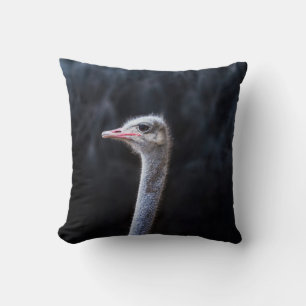 ostrich portrait   cushion