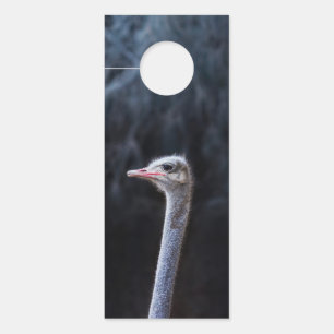 ostrich portrait door hanger