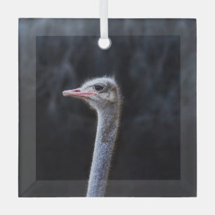 ostrich portrait    glass tree decoration