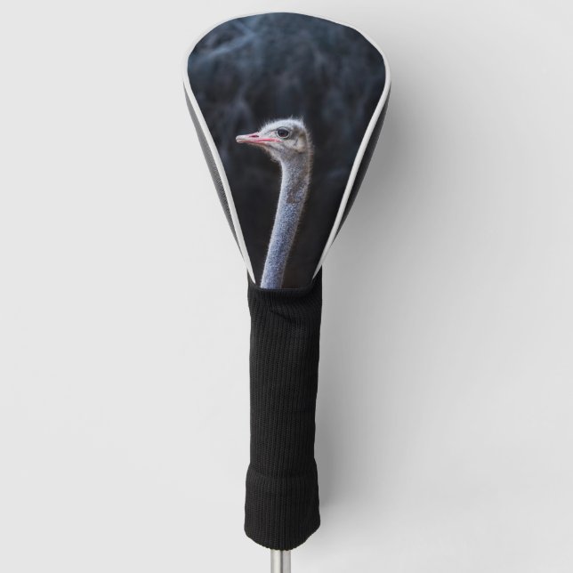 ostrich portrait  golf head cover (Front)