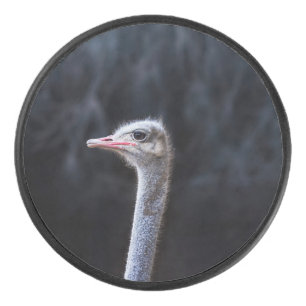 ostrich portrait hockey puck