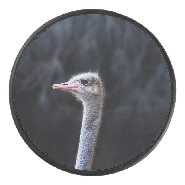 ostrich portrait     hockey puck (Front)