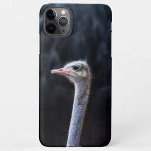 ostrich portrait iPhone 11Pro max case