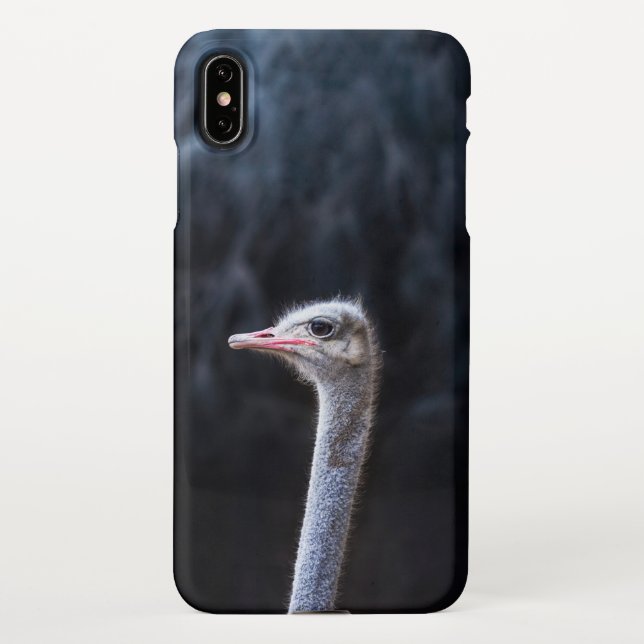 ostrich portrait     iPhone case (Back)
