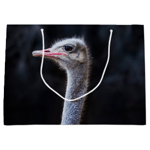 ostrich portrait  large gift bag