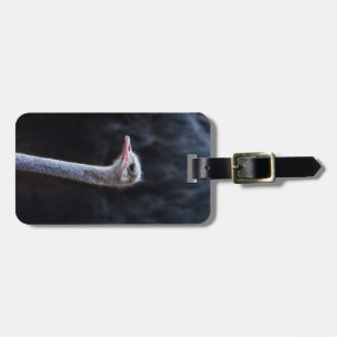 ostrich portrait luggage tag