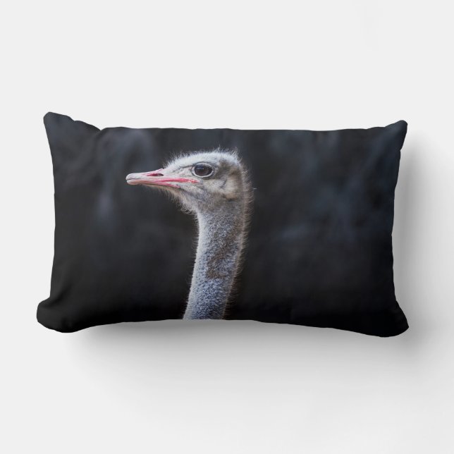 ostrich portrait   lumbar cushion (Front)