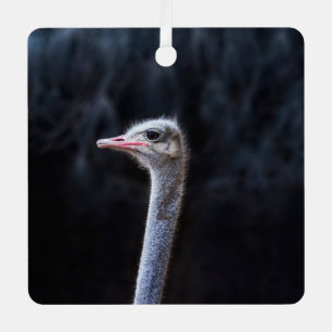 ostrich portrait metal tree decoration