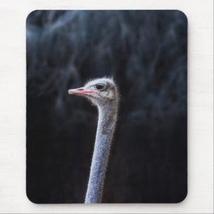 ostrich portrait   mouse mat