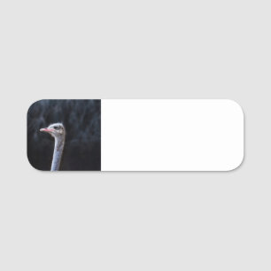 ostrich portrait name tag