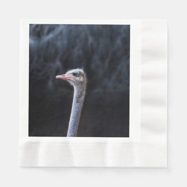 ostrich portrait     napkin (Front)