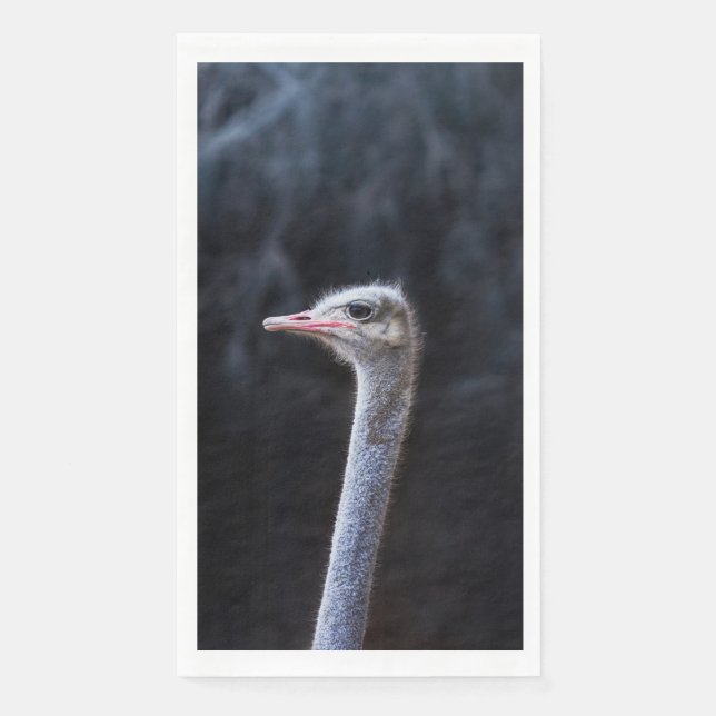 ostrich portrait     napkin (Front)