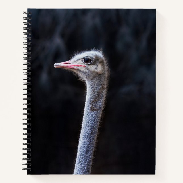 ostrich portrait   notebook (Front)