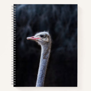 ostrich portrait notebook