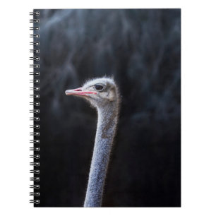 ostrich portrait notebook