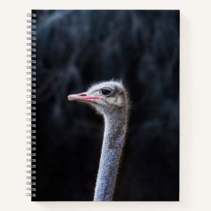 ostrich portrait notebook