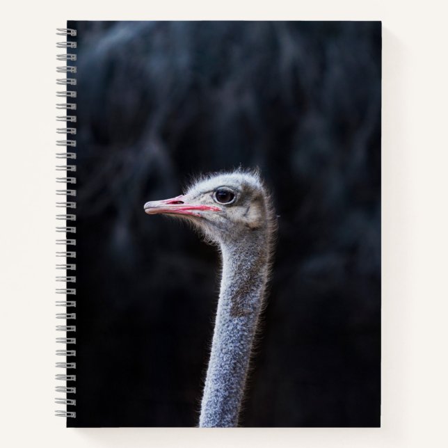 ostrich portrait     notebook (Front)