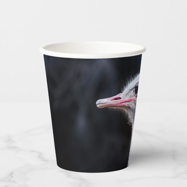 ostrich portrait   paper cups (Front)