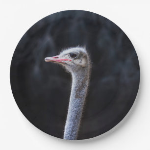ostrich portrait    paper plate