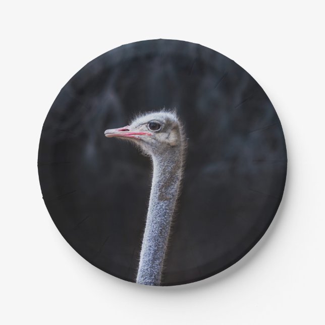 ostrich portrait    paper plate (Front)