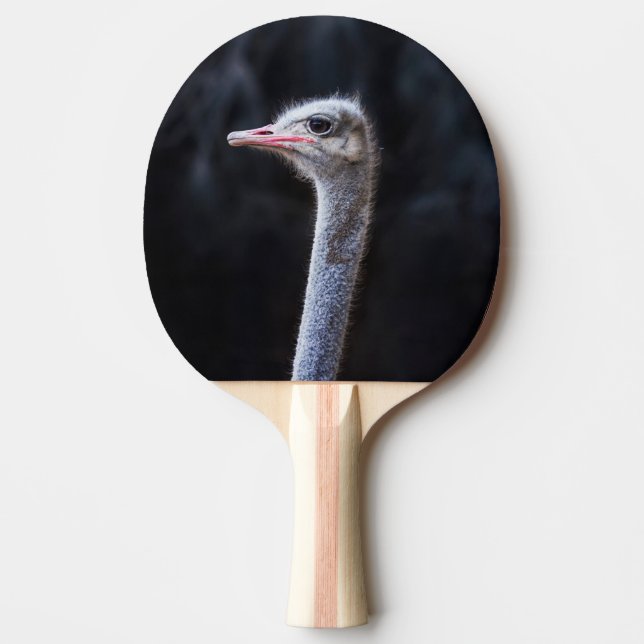 ostrich portrait   ping pong paddle (Front)