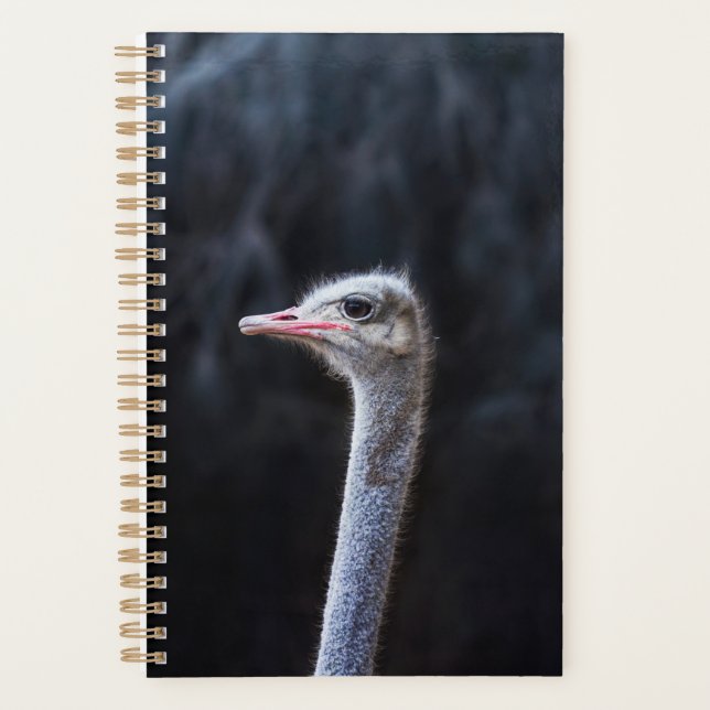 ostrich portrait    planner (Front)
