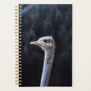 ostrich portrait planner