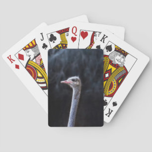 ostrich portrait    playing cards