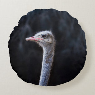 ostrich portrait    round cushion