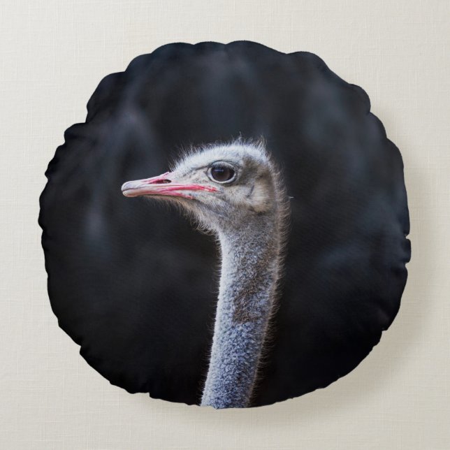 ostrich portrait     round cushion (Front)