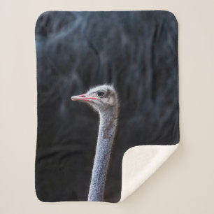ostrich portrait    sherpa blanket