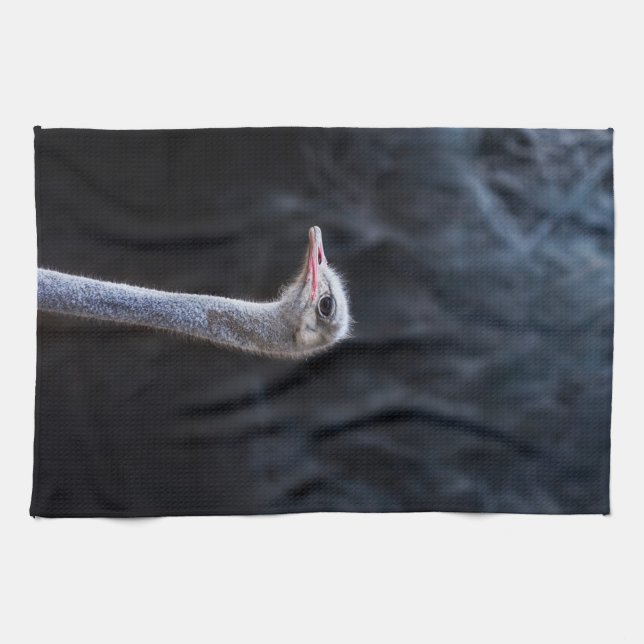ostrich portrait   tea towel (Horizontal)