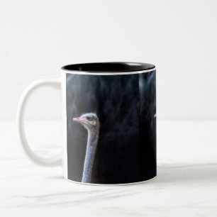 ostrich portrait    Two-Tone coffee mug