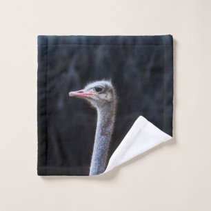 ostrich portrait wash cloth