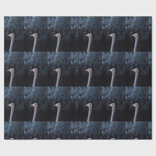 ostrich portrait wrapping paper