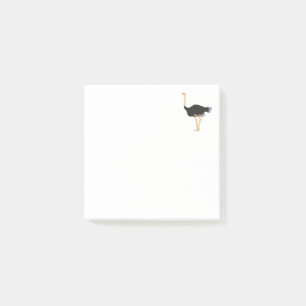 Ostrich Post-it Notes