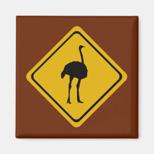 ostrich road sign magnet
