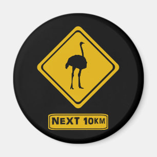 ostrich road sign magnet