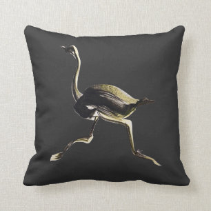 Ostrich running cushion