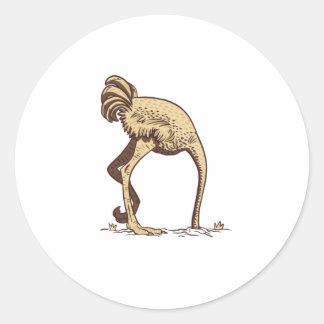OSTRICH SAND CLASSIC ROUND STICKER