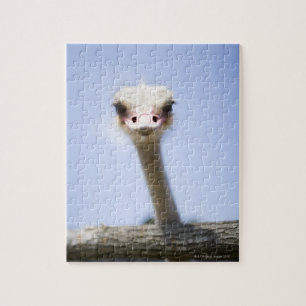 Ostrich Speak Jigsaw Puzzle