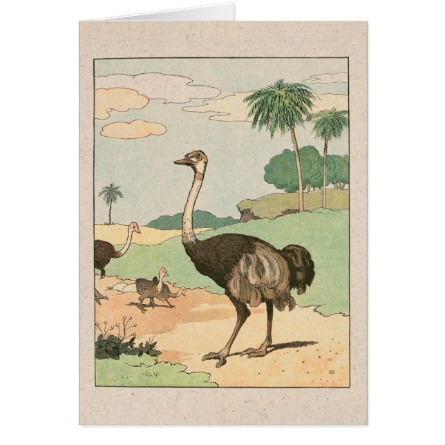Ostrich Story Book Illustrated (Front)