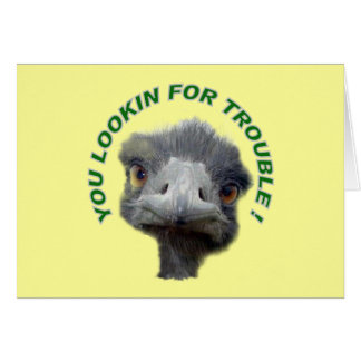 Ostrich trouble